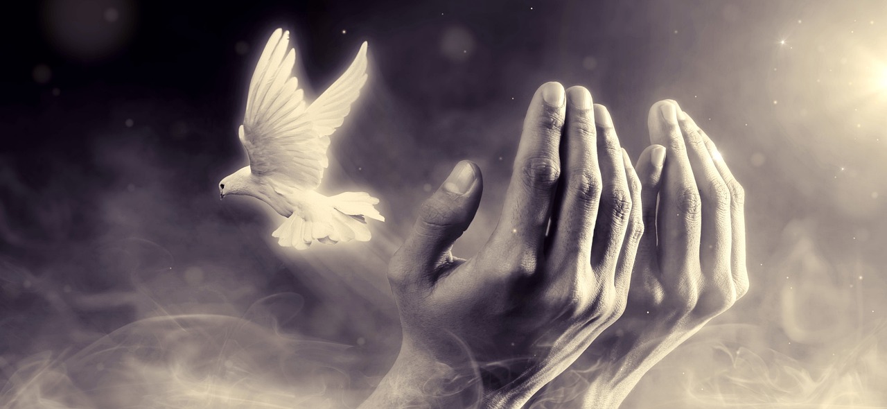 Is There a Difference Between Mind and Consciousness?